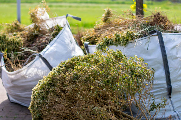 Best Dumpster Rental Services  in Lucasville, OH