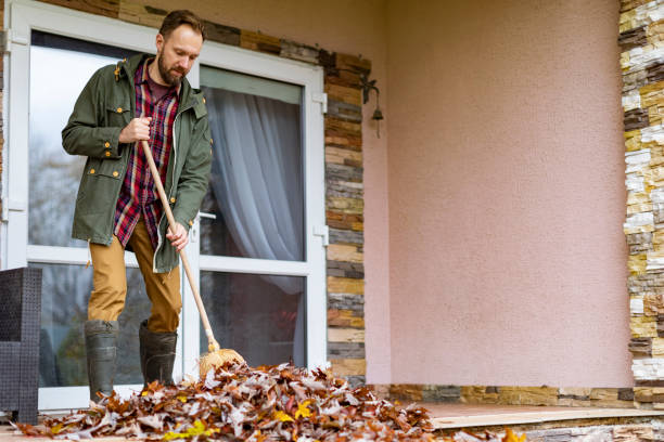 Basement Cleanout Services in Lucasville, OH
